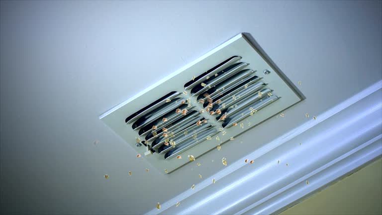 Best Ductwork Cleaning Services  in Germantown, IL